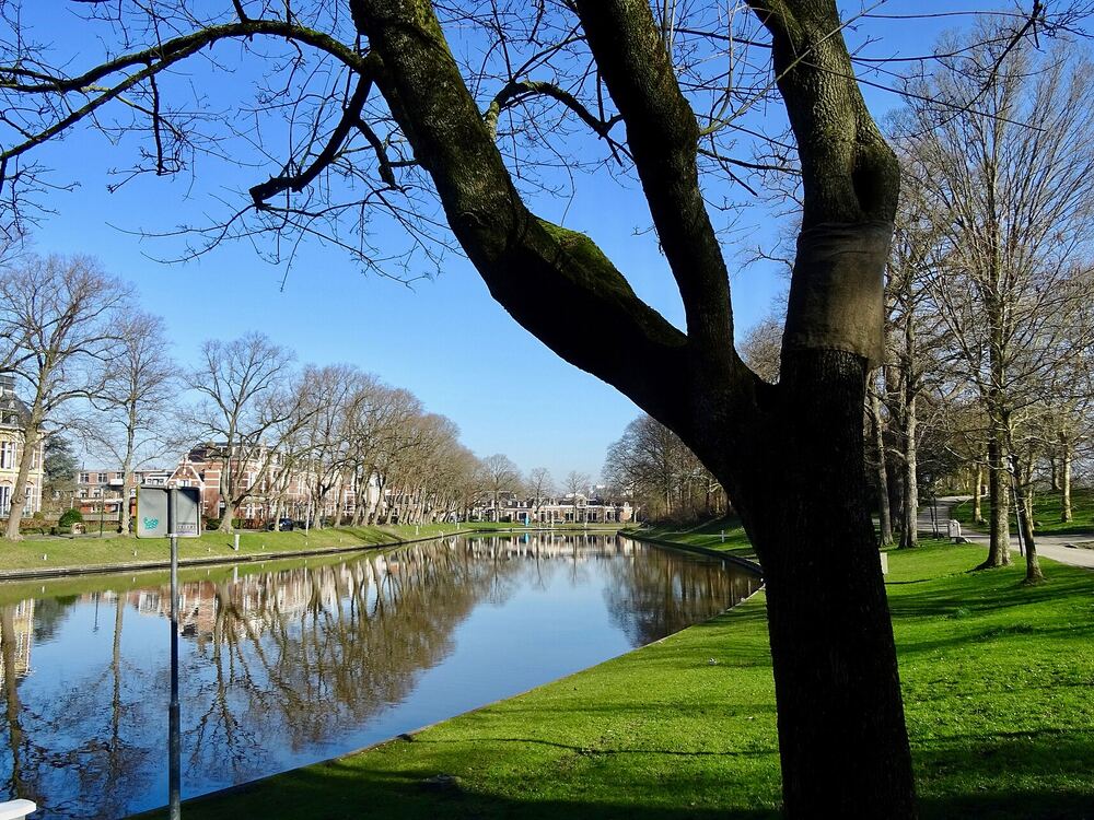 De Prinsentuin in Leeuwarden met gras langs de stadsgracht en bomen tegen een blauwe lucht