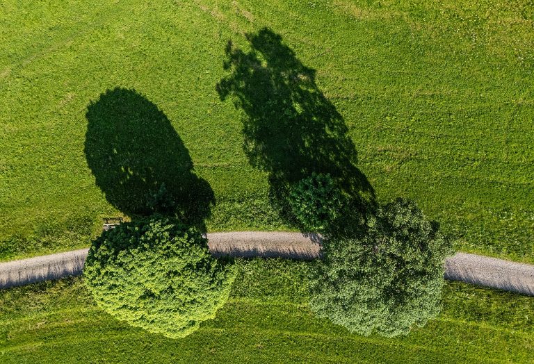 Herfstvakantie praamvaarten — Natuur in Leeuwarden
