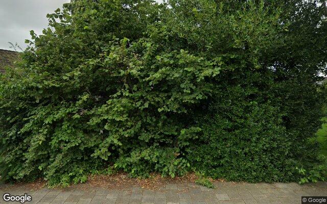 Speeltuin Wilgenroosje