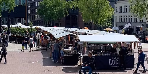 Zeldzaam Mooi event Wilhelminaplein in Leeuwarden — festival in Leeuwarden