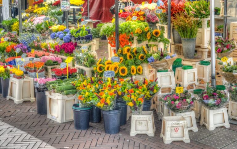 En hobbyfair Ryptsjerk 2026 — Braderie en jaarmarkt in Leeuwarden