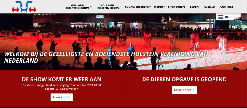 Holland Holstein Show in Leeuwarden