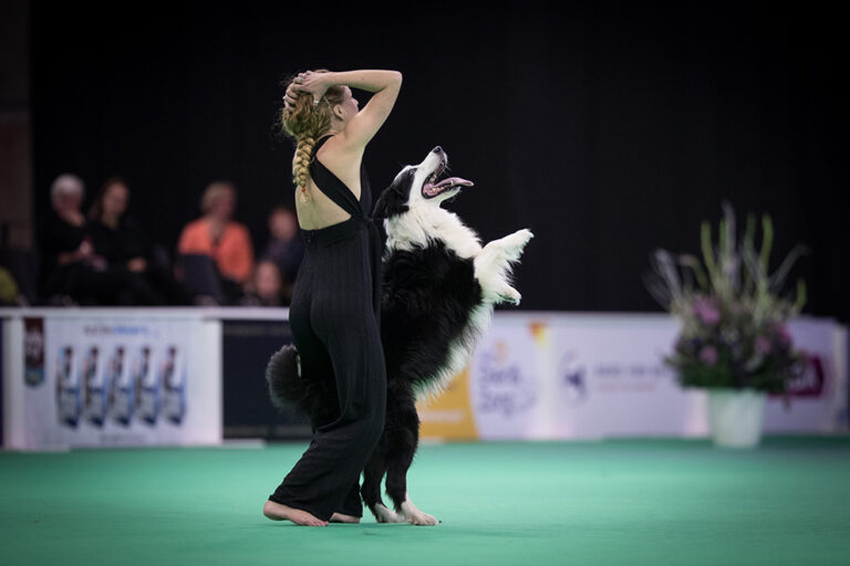 Hond Event — festival in Leeuwarden